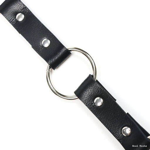 Anal Hooks with and 5853 Kinky Hook Anal EverydayUse Leash Collar 1001